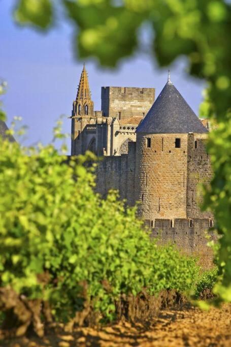 Domaine Villecarla Villedubert エクステリア 写真