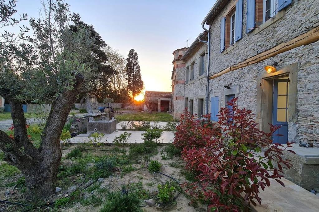 Domaine Villecarla Villedubert エクステリア 写真